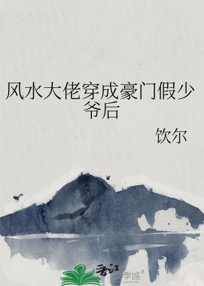 大佬风水师