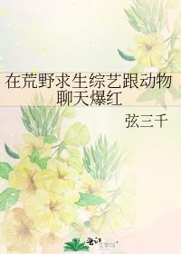 荒野求生的综艺