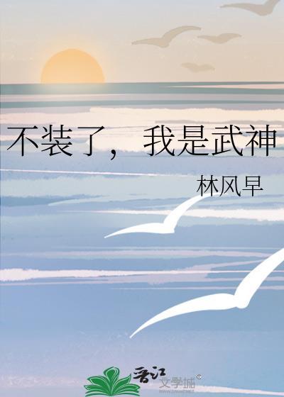 我是武神林风早