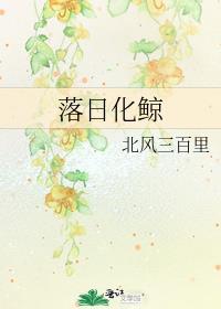 落日化鲸番外txt