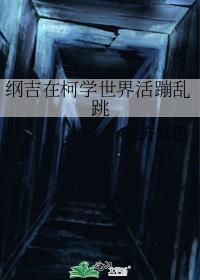 xanxus纲吉