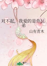 对不起我爱的是你兄弟百度