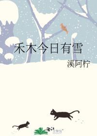 禾木今日有雪免费阅读