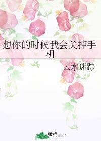想你的时候我会关掉手机免费阅读