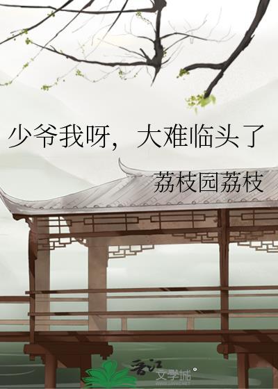 大少爷光临