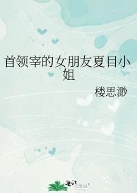 首领宰bg