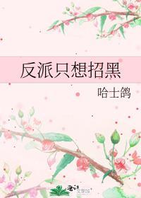 反派只想招黑txt