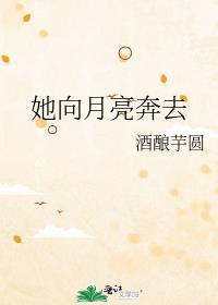 向月亮走去
