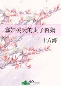寡妇桃夭的太子赘婿在线阅读