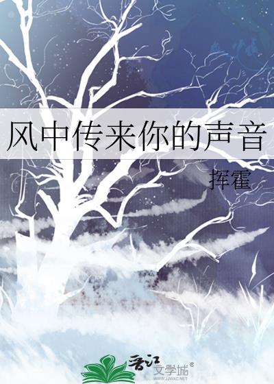 风中吹来谁的声音歌词