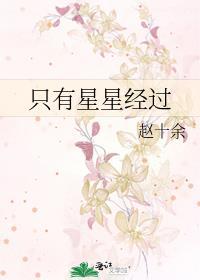 只有星星经过txt百度