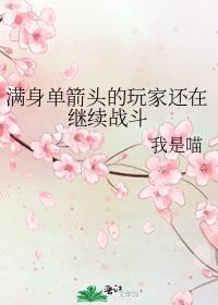 上单满身是箭