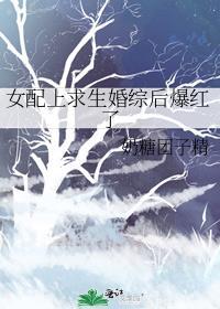 女配求生指南全文免费阅读三