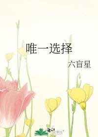 唯一的选择图片