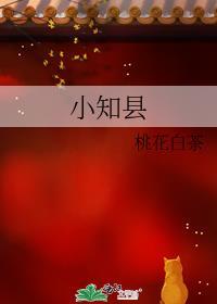 小知县txt