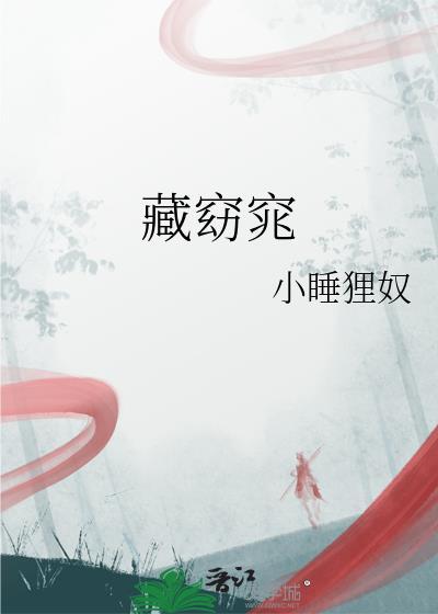 藏窈窕内容