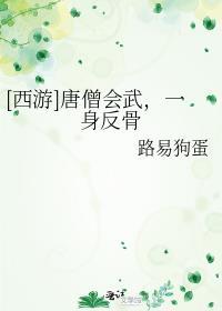 唐僧会武功的动画片