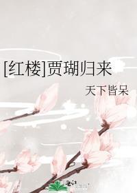 红楼之贾瑚有福运