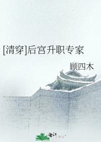 穿越后宫升级