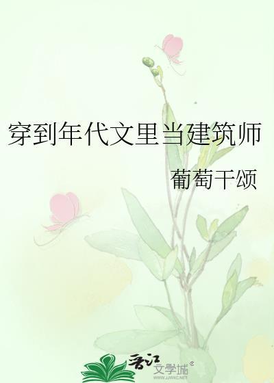穿到年代文里当建筑师葡萄干颂