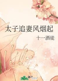 太子追妻有手段