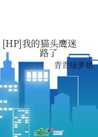 hp我的猫头鹰迷路了全文阅读