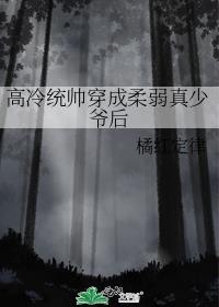 高冷统帅穿成柔弱真少爷后免费阅读