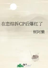 在恋综拆cp后爆红了男主叫什么