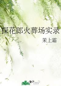 探花郎火葬场实录茉上霜TXT