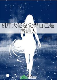 机甲大师什么意思