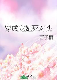 穿成宠妃系统