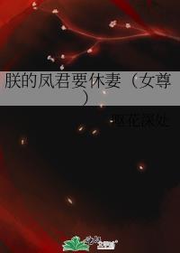 朕的将军是凤君免费