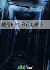 她是f4中的花心萝卜笔趣阁30