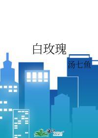 白玫瑰歌词