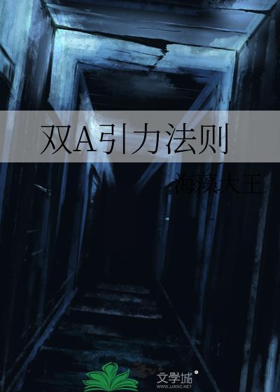 双a引力法则晋江