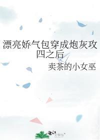 漂亮娇气包穿成炮灰攻四之后 双男主 主受 已完结