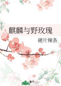 野麒麟草药