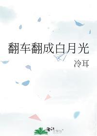 翻车翻成白月光百度
