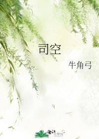 司空震源梦皮肤