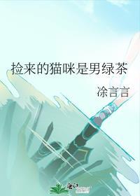捡来的猫叫什么名字好