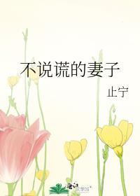 不说谎的妻子by止宁天生契合番外