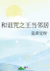 全息之最强辅助