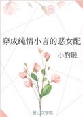 穿成纯情小言的恶女配未删减版