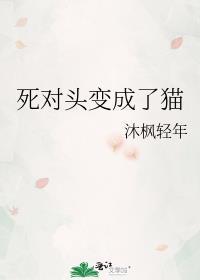 死对头变成了猫gl沐风轻年