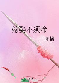 嫁娶不须啼番外txt百度