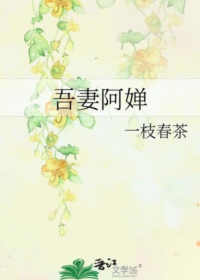 吾妻阿婵笔趣阁讲的什么