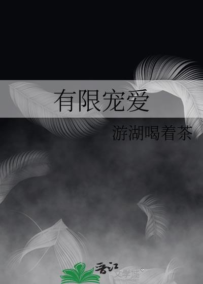 有限宠爱番外
