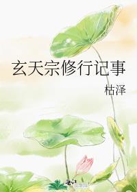 玄天宗修行记事楚墨衡