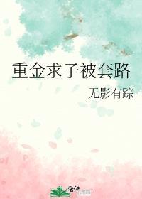 重金求子案例事件