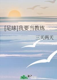 我要做球王 无弹窗
